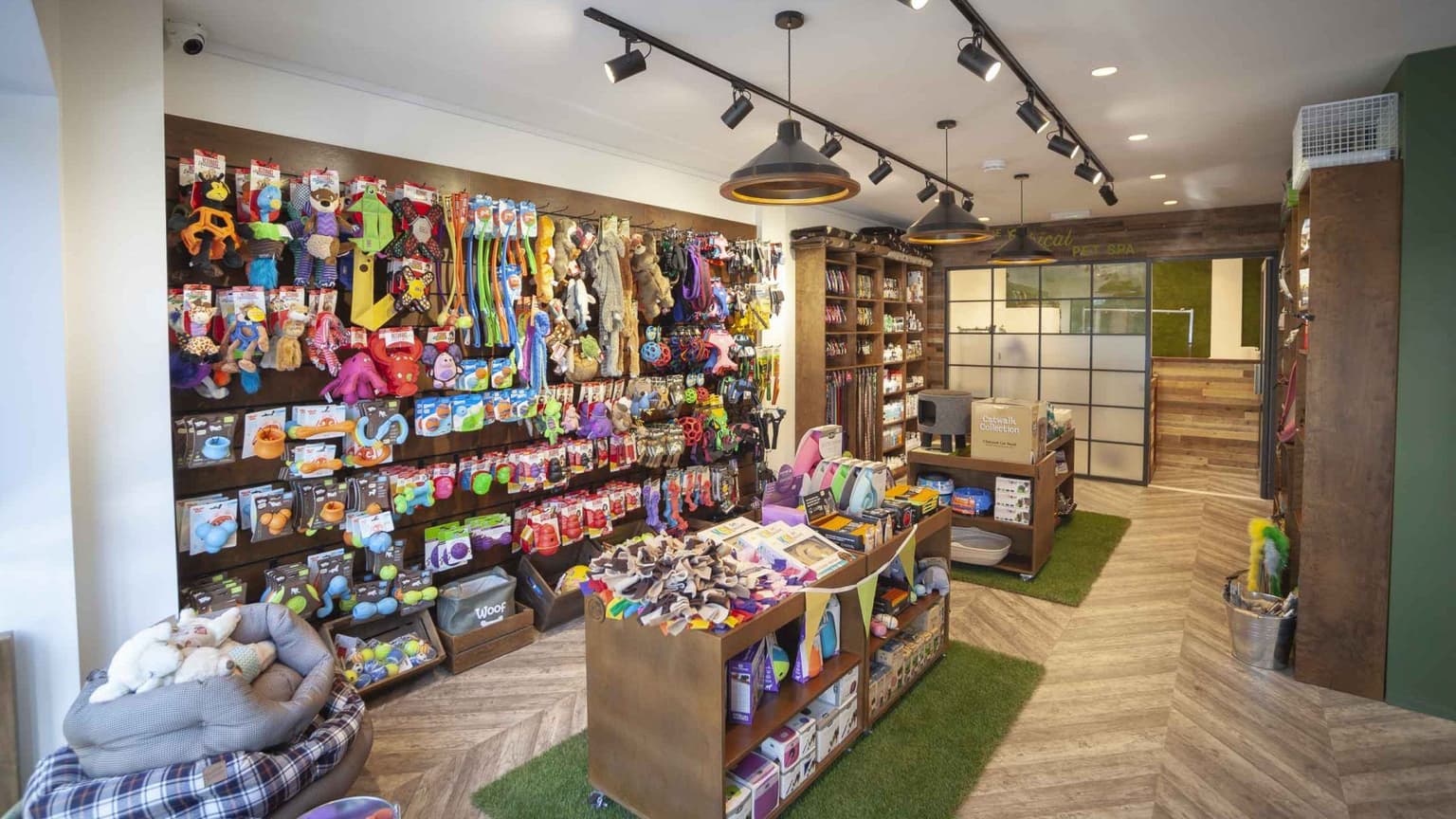 Clean Glendale pet store interior with toys, treats, and grooming spa beyond