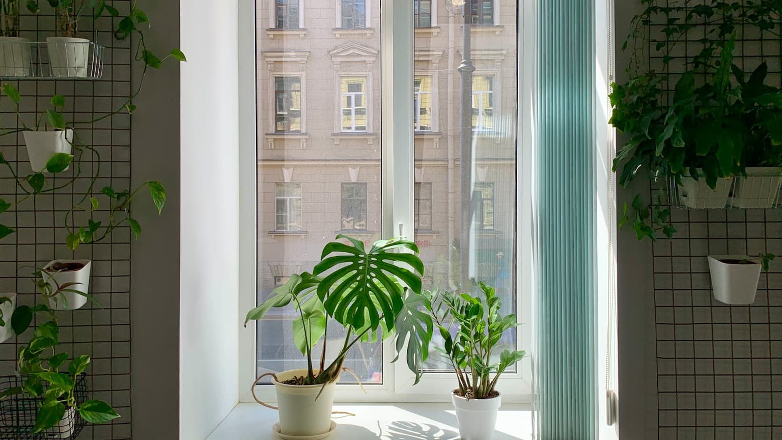 Bright room with sparkling clean windows and sunlight