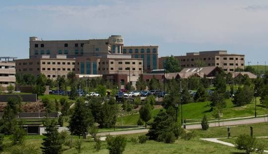 House Cleaning Service in Lone Tree, CO