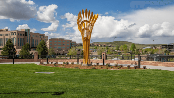 Professional cleaning services in Lone Tree