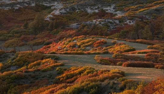 House Cleaning Service in Castle Pines, CO