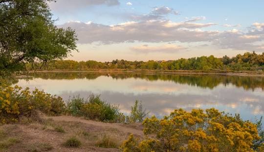 House Cleaning Service in Wheat Ridge, CO